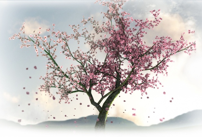 весна, Сакура, цветы, дерево