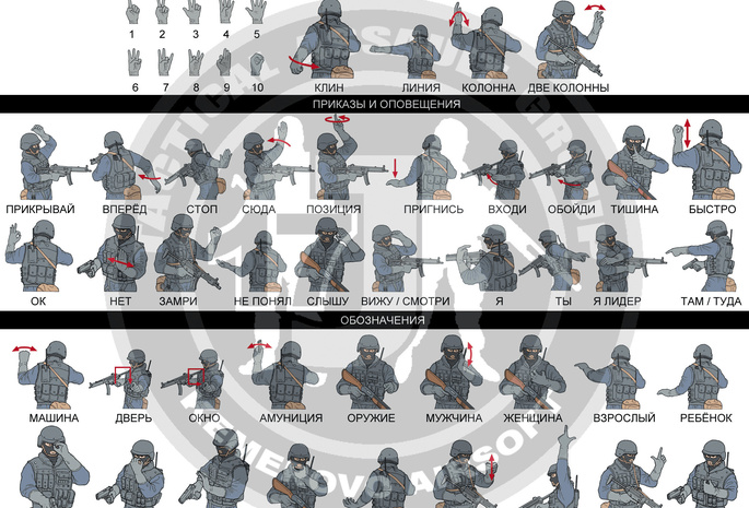 Спецназ, рука, каска, тактический штурм отряд, цифры, приказы, жесты, команда, форма, знаки