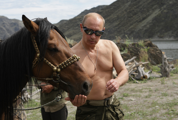 обои, президент россии, премьер-министр россии, природа, лошадь, путин, Владимир путин, горы