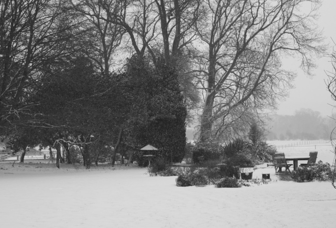красота, стулья, деревья, снег, стол, Winter blanket, площадка, зима
