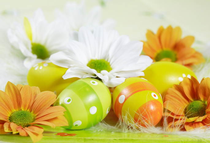 яйца, Пасха, цветы, пасхальные яйца