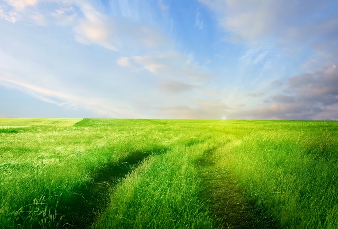 поле, облака, зелень, Дорога, трава, горизонт, небо