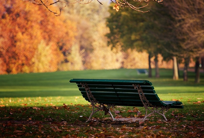 лавочка, Парк, солнышко, скамейка, осень, день, листья