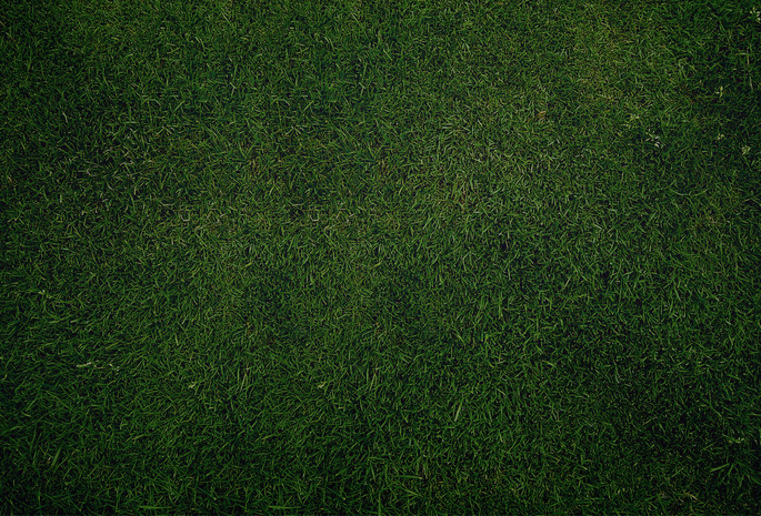 газон, обои, green, Текстура, зелень, трава