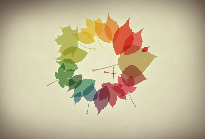 осень, листья, осенние обои, обои, Минимализм