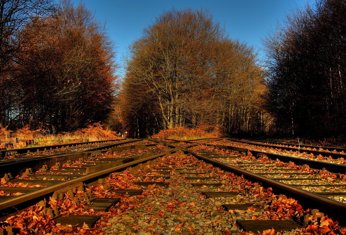 железная дорога, природа, листья, Осень