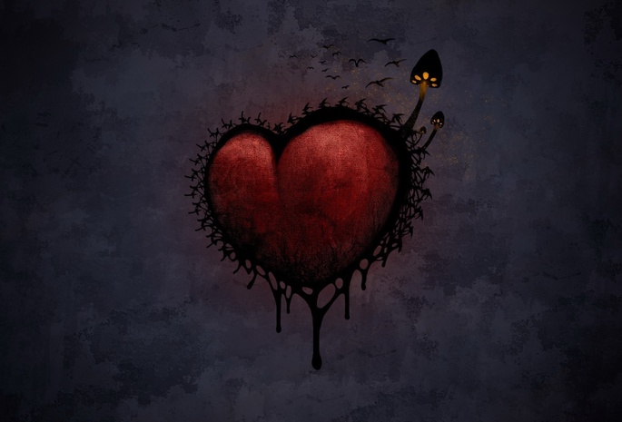 грибы, Сердце, мрак