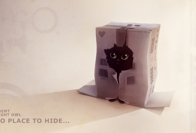 agent night owl, прячется, коробка, Котенок, дырка, рисунок