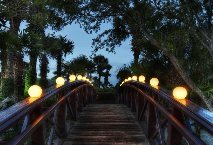 пальмы, Мост, вечер, фонари