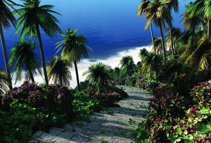 море, зелень, пальмы, Тропики, ступеньки, лестница