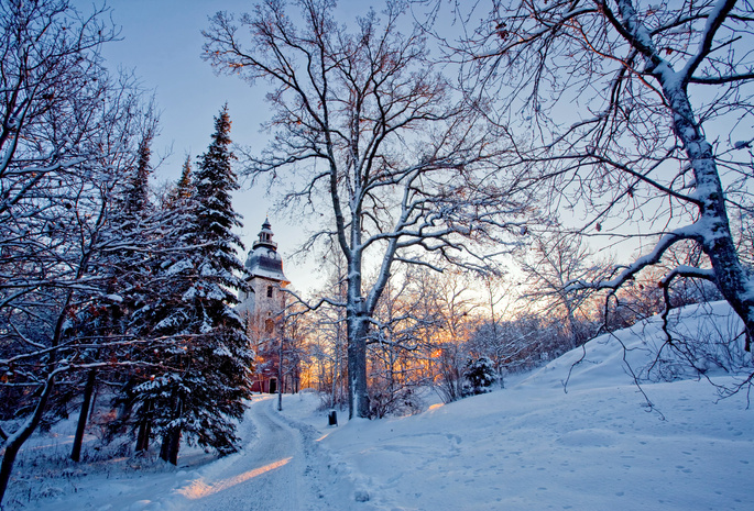 зима, деревья, свет, снег, Природа, церковь