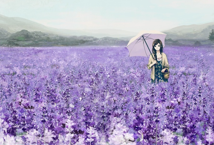 зонт, корзина, зонтик, Арт, лаванда, поле, цветы, девушка