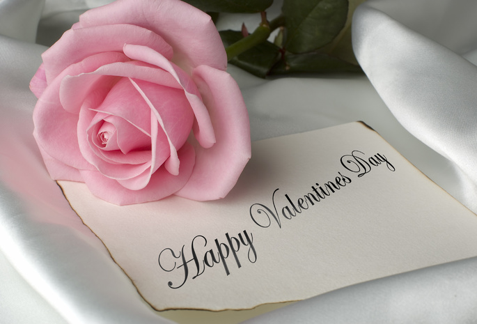 Flowers, rose, pink, romance, happy valentines day, valentines day, pink rose, romantic, pretty