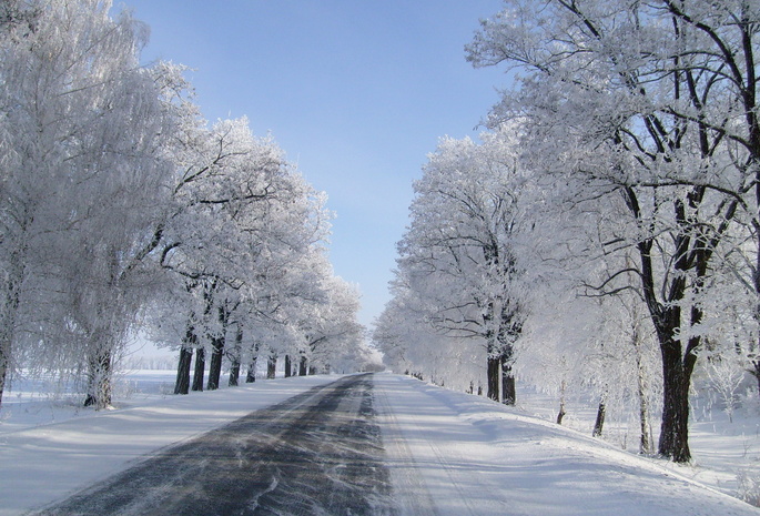 Зима, деревья, снег, дорога
