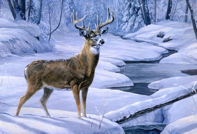 deer, november snow, forest, олень, creek, snow, winter, animal, painting, Laura mark finberg