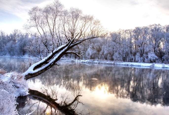 зима, frozen forest, nature landscape, branch, Winter river, wonderland, cold season
