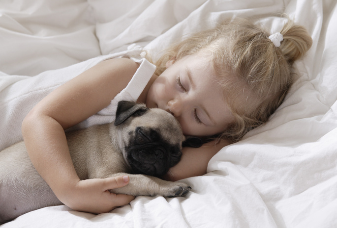 sleeping, Little girl, childhood, dog, маленькая девочка, children, pet, child