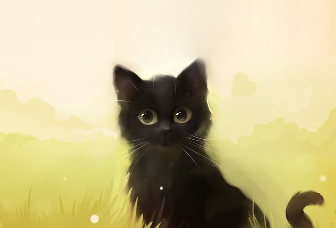 Котенок