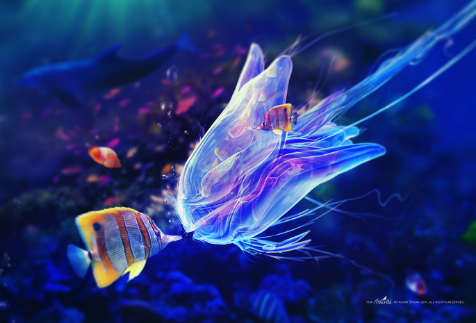 пузыри, щупальца, медуза, синева, Под водой, рыбы