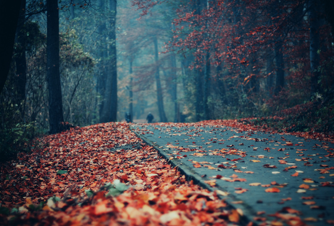 парк, дорожка, листва, люди, Осень