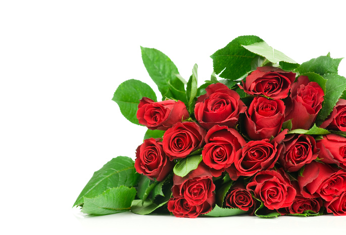 rose, lovely, flowers, red roses, beautiful, Flower, nice, cool, pretty, roses, beauty, bouquet