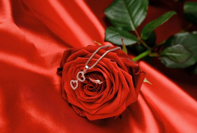 цветок, кольцо, роза, красная, романтика, Любовь
