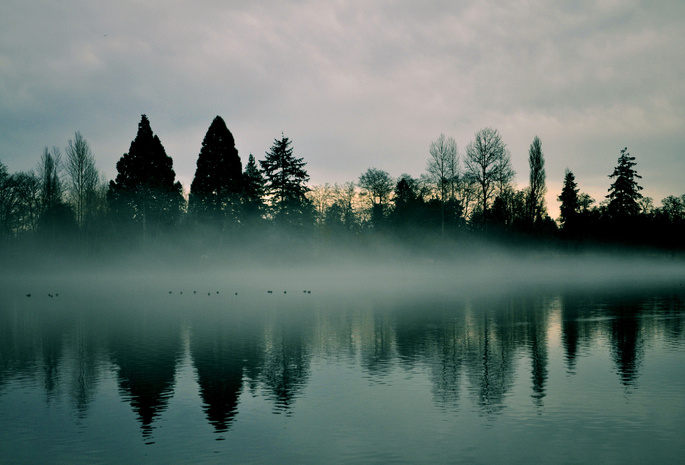 Раннее утро, дымка, небо, туман, деревья, рассвет, река