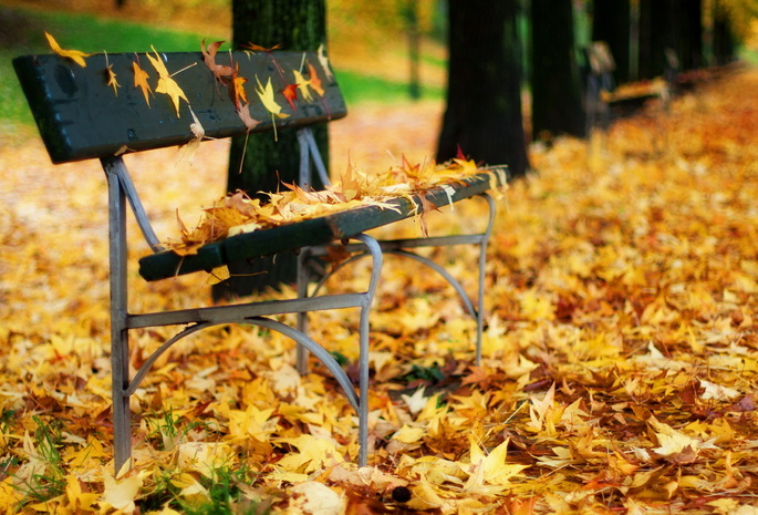 парк, Скамья, осень, листья