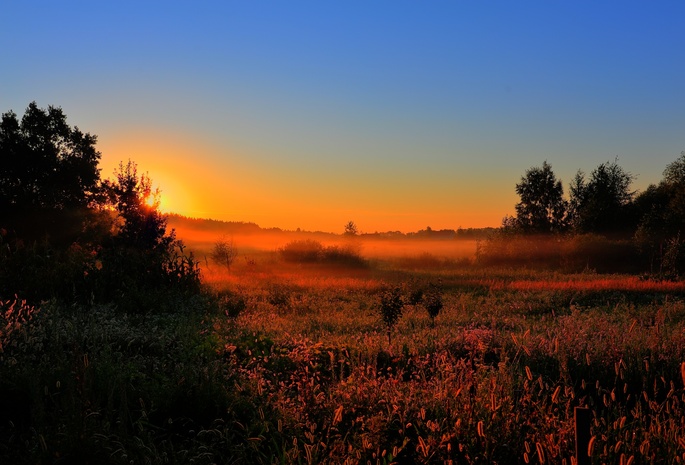 Раннее утро, рассвет, солнце, лес, туман, поляна. поле