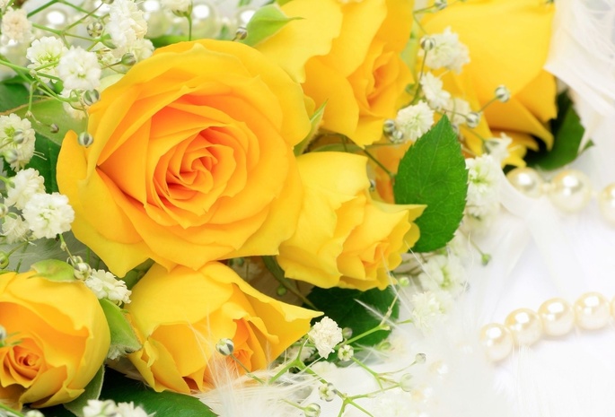 цветы, цветок, желтые, красивые, букет, жёлтые, Розы