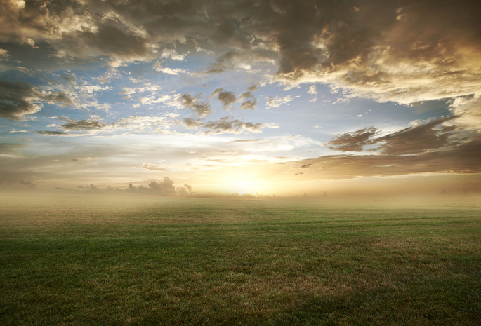 поле, утро, туман, Природа, газон, облака, трава
