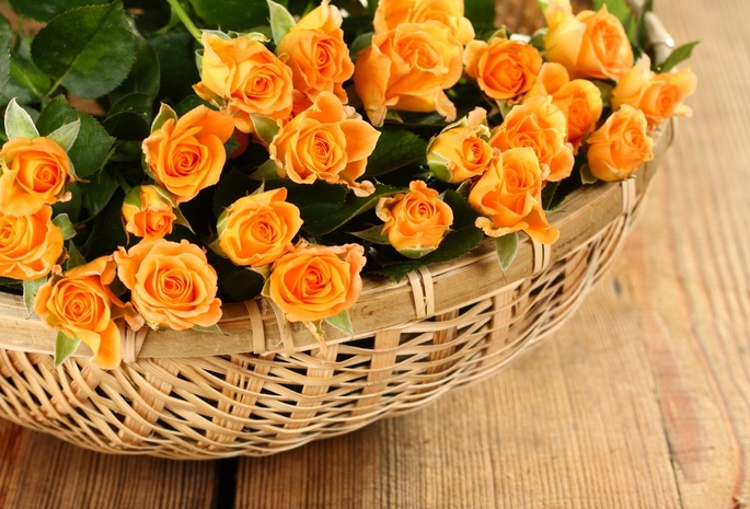 лепестки, rose, petals, Flowers, basket, розы, корзины, roses