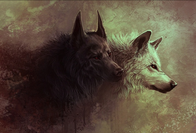 Арт, звери, волк, волчица