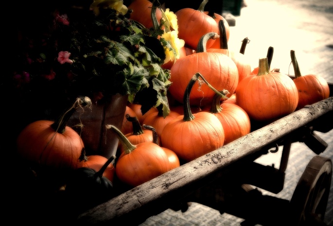 orange, fall, autumn, Pumpkins, cart