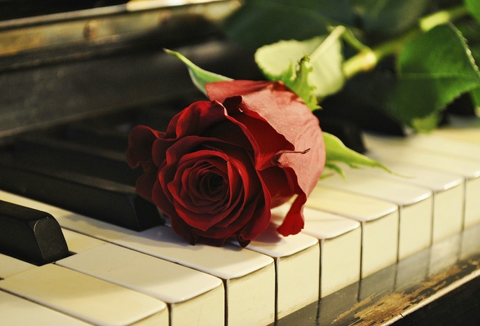 Vintage Style, Music, Piano, Rose