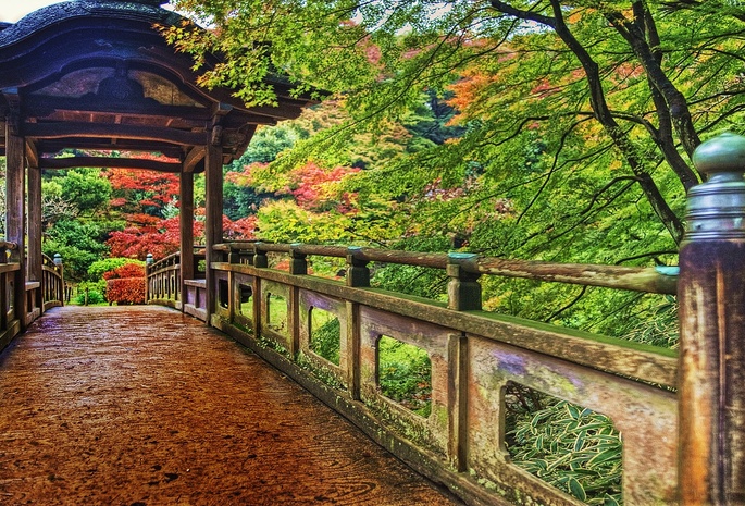 Park, Yokohama, Japan, colorful, vegetation, wood, bridge