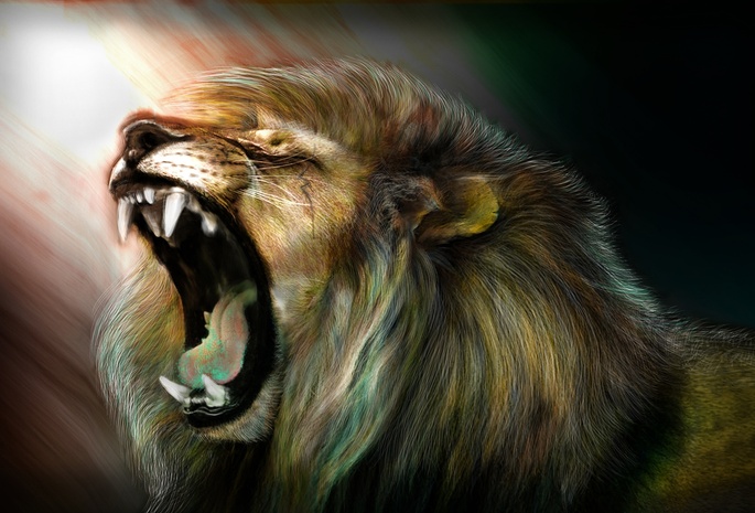 Lion, furious