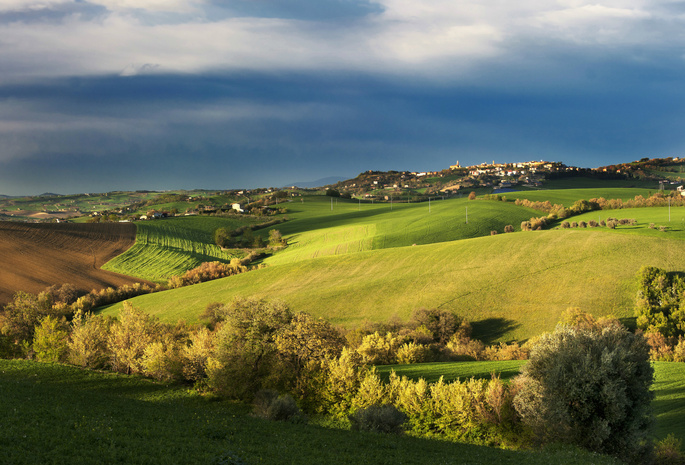 тоскана, деревья, поле, Италия, синее, осень, поселок