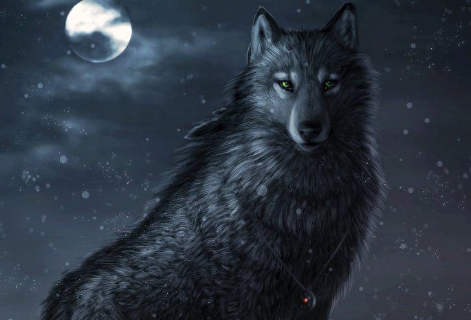 art, Winter night, ночь, dark_sheyn, волк, снег, амулет, луна