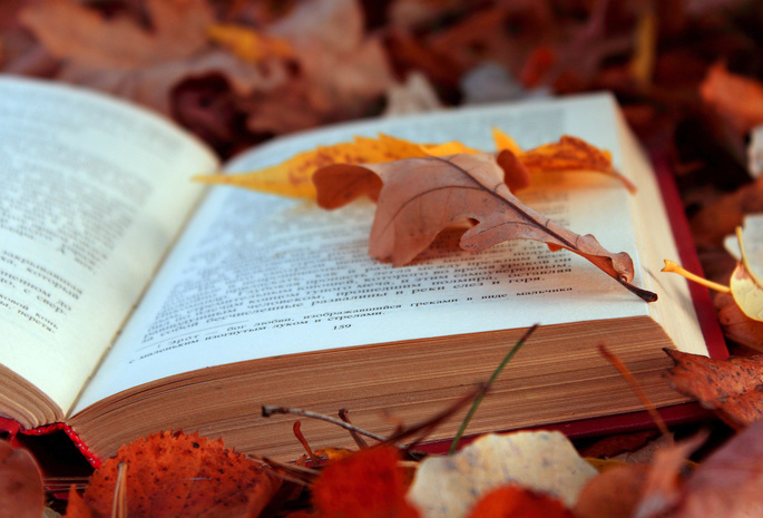 листва, осень, Книга, страницы, листья, текст