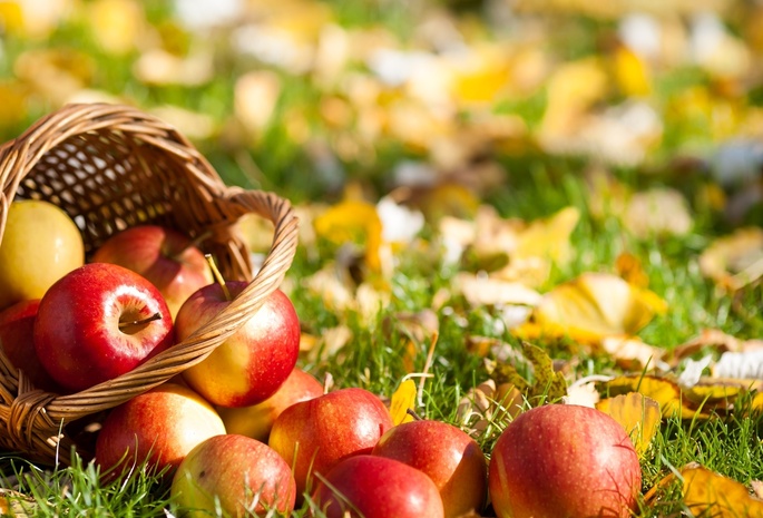 яблоки, листья, Корзина, трава, фрукты