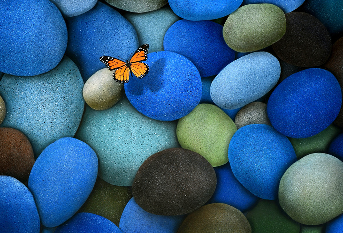 голубые, Камни, бабочка, коричневые