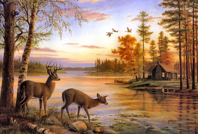 painting, deer, birch, mary pettis, river, Quiet evening, nature