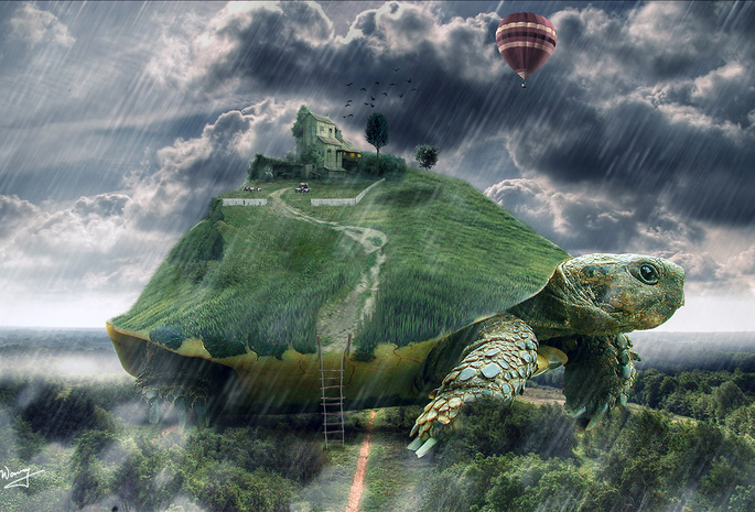 дождь, черепаха, гигантская, дом, Арт, лестница