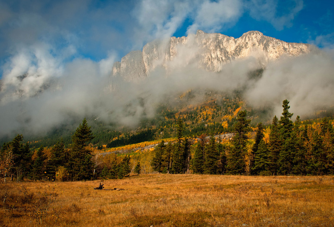 облака, осень, деревья, туман, ель, Природа, горы