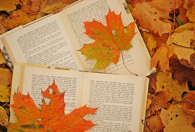 листья, Фото, кленовые, осень, книги