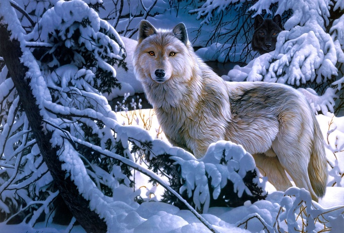 зима, Jerry gadamus, арт, лес, волк, снег