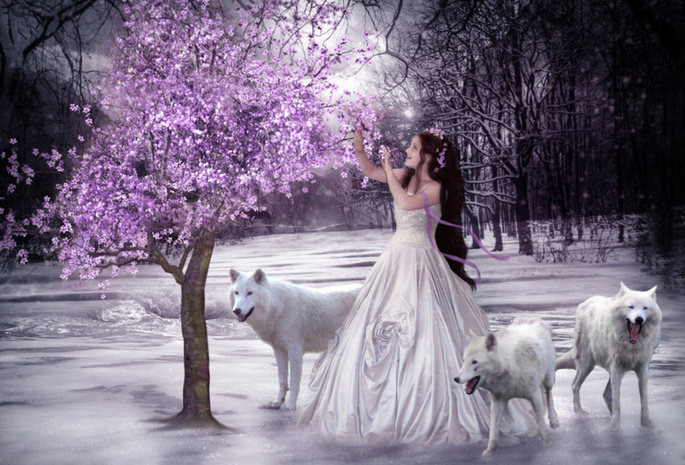 дерево, снег, девушка, собаки