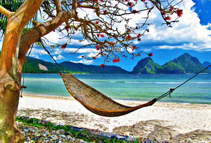 sky, grass, hammock, summer, clouds, ocean, Exotic, beach, sea, landscape, nature, tropical