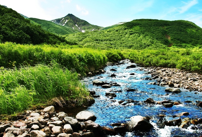 зелень, лето, ручей, горы, Природа, река